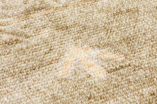 Öğretmenler Halı Zara 07 Yuvarlak Beige Autumn